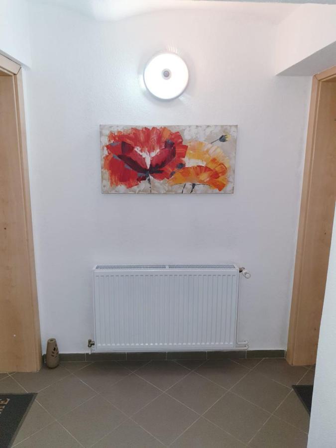 Apartamento Castelului 1 Braşov Exterior foto